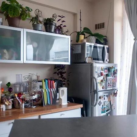 アパート 34m With Balcony In The Heart Of パリ